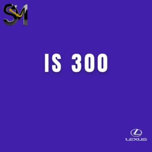 IS 300