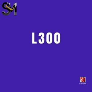 L300
