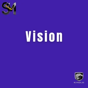 Vision