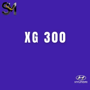 XG 300
