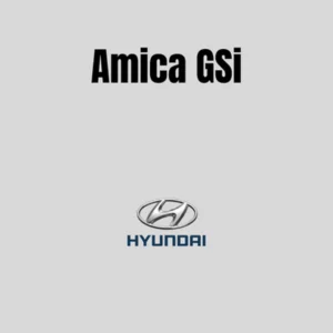 Amica GSi