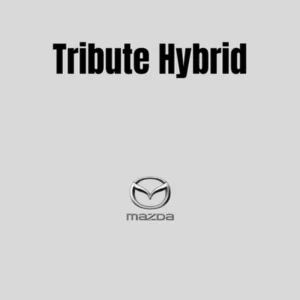 Tribute Hybrid