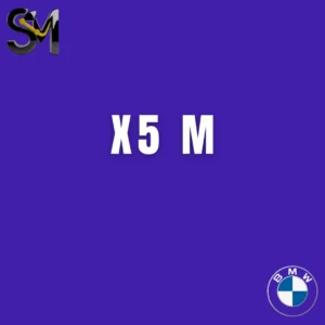 X5 M